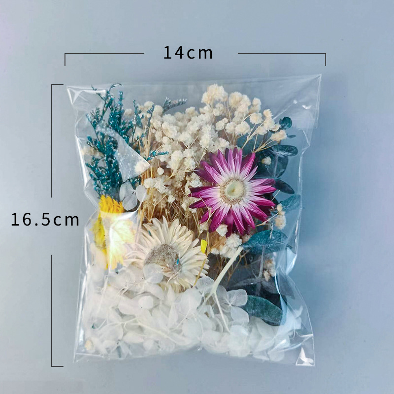 ชุดดอกไม้แห้งหลากหลายชนิด 1 แพ - Embellish Craft บทวิจารณ์และราคา