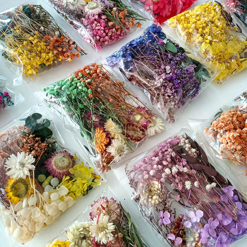 ชุดดอกไม้แห้งหลากหลายชนิด 1 แพ - Embellish Craft บทวิจารณ์และราคา